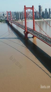 城市航拍武汉鹦鹉洲长江大桥竖屏航拍